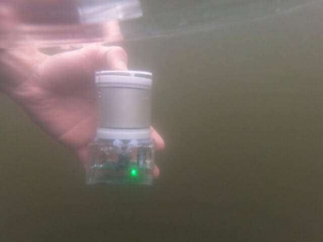 MIT 연구진이 개발한 수중 발광 센서 (사진=MIT)