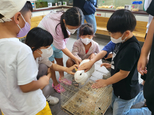 서천 한산마을학교 학생들이 동물체험수업에 열중하고 있다. 사진=충남교육청 제공