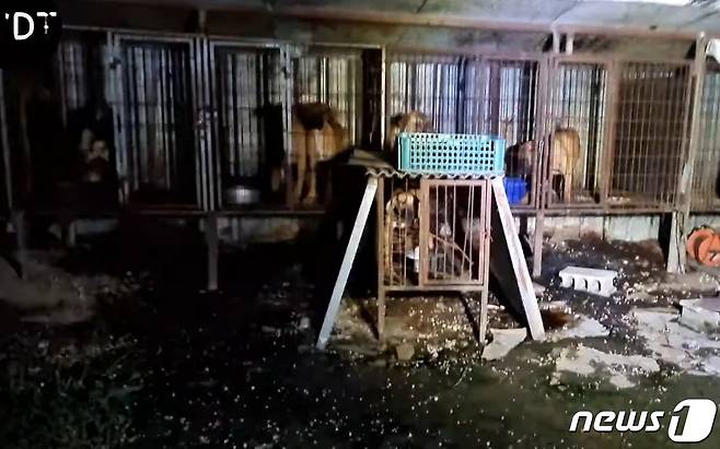 경북 경산시 진량읍의 한 야산에서 동물학대 의심되는 시설이 발견됐다.(유튜브 갈무리)ⓒ 뉴스1