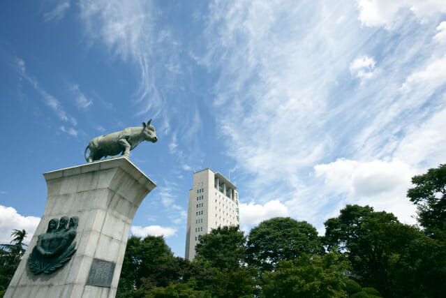 건국대학교 전경