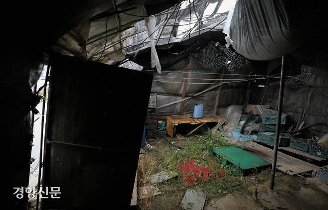 지난 6월28일 촬영한 경기 포천시 한 비닐하우스 농장 인근의 폐쇄된 이주노동자 농막 기숙사 내부. 성동훈 기자