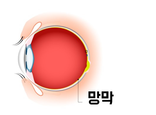 출처:게티이미지 뱅크