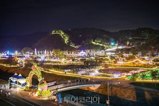 백제문화제 야경