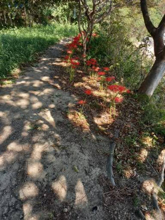 마실길 5코스. 허한영 해설사 제공