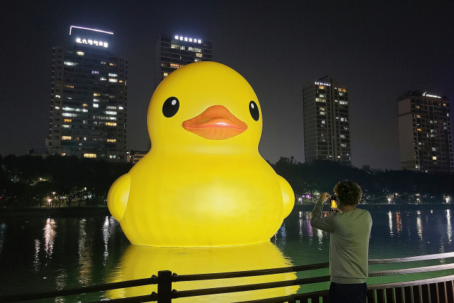 플로렌타인 호프만 작가가 자신의 작품인 '러버덕 프로젝트 서울 2022'를 촬영하고 있다./ⓒ Florentijn Hofman, Rubber Duck Seoul 2022