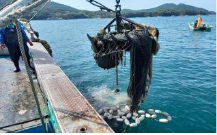 형망어선 활용 폐기물 수거사진 [해수부 제공. 재판매 및 DB 금지]