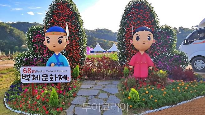 코스모스 활짝 피어난 공주군 금강신관공원