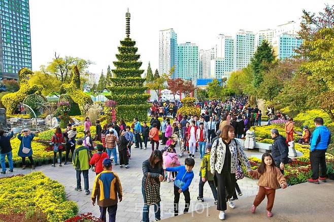 익산 천만송이 국화축제