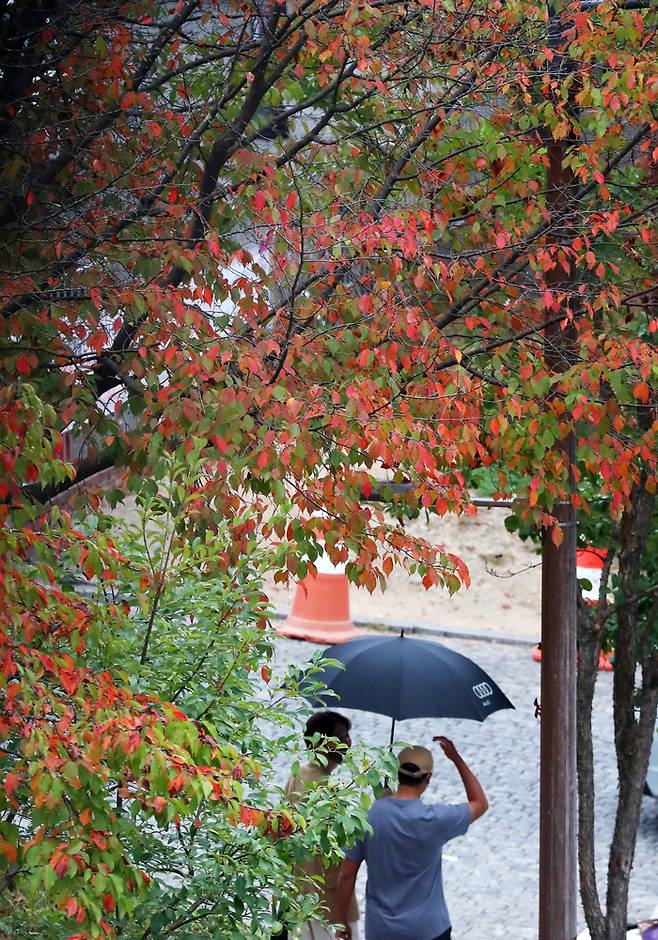 가을비가 내린 2일 강원 춘천시에서 우산을 쓴 시민들이 걸어가고 있다. 연합뉴스