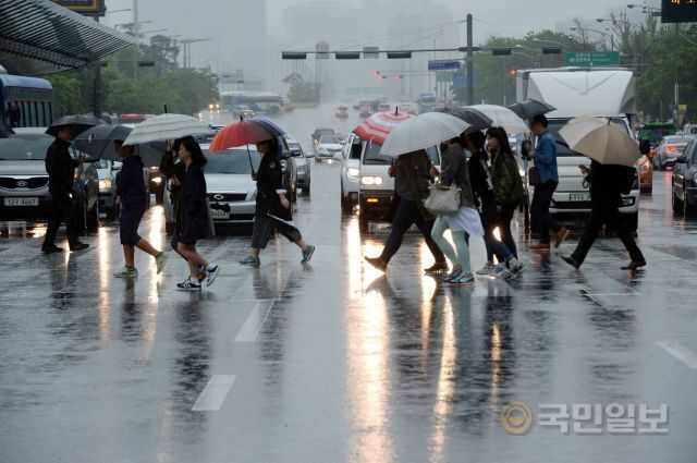 서울 여의도 환승센터에서 강우를 우산으로 막으며 횡단보도를 건너는 시민들 자료사진. 국민일보 DB