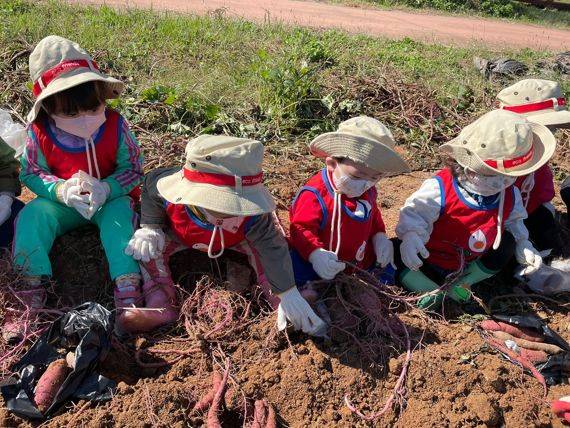 전남도농업박물관이 농작물 수확기를 맞아 10월 한 달 박물관 관람객 등을 대상으로 농작물 수확 등 다양한 체험행사를 진행한다. 사진=전남도농업박물관 제공