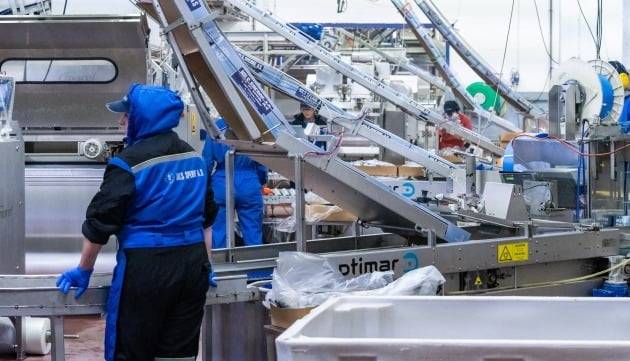 닐스 스페레 공장 내부는 대부분의 공정을 자동화 했다.