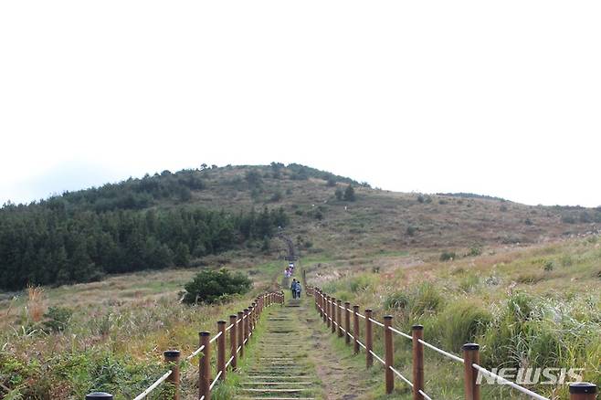 [서귀포=뉴시스] 양영전 기자 = 개천절 연휴 이틀째인 2일 오후 서귀포시 표선면 백약이오름을 찾은 나들이객들이 제주의 가을 정취를 즐기고 있다. 2022.10.02. 0jeoni@newsis.com