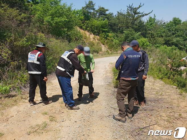 불법 임산물 채취 단속.(사진은 기사 내용과 무관함)