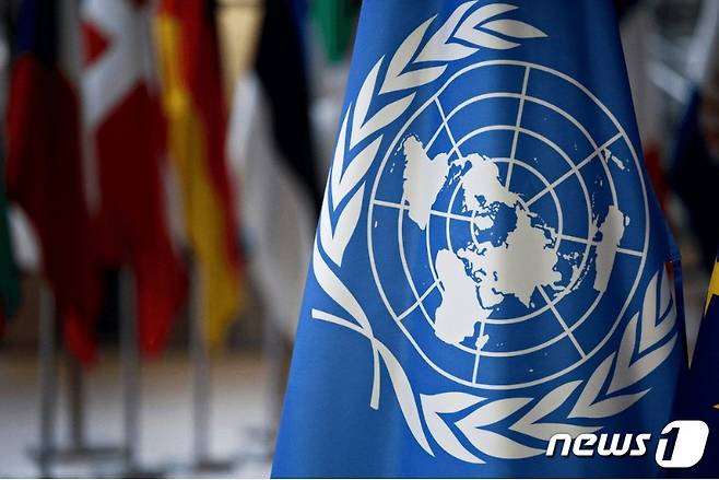 UNCTAD 깃발 - 홈피 갈무리