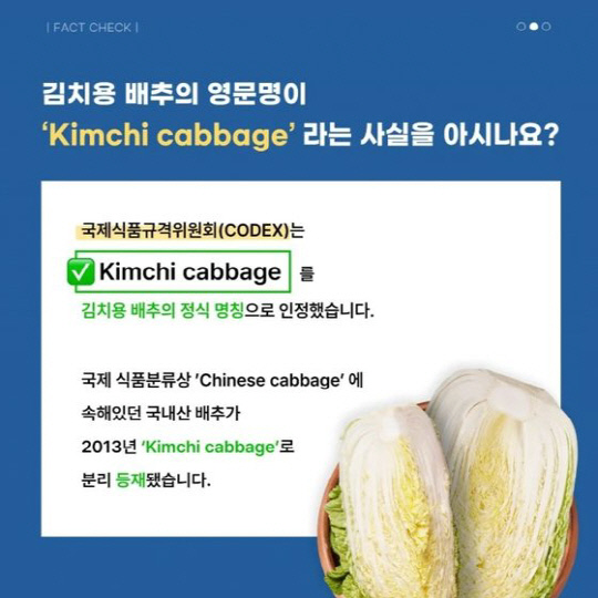 세계김치연구소는 국제식품규격위원회(CODEX)가 '김치용 배추'의 영문명을 'Kimchi cabbage'로 인정한 사실을 알린 바 있다. (사진=서경덕 성신여대 교수 페이스북)