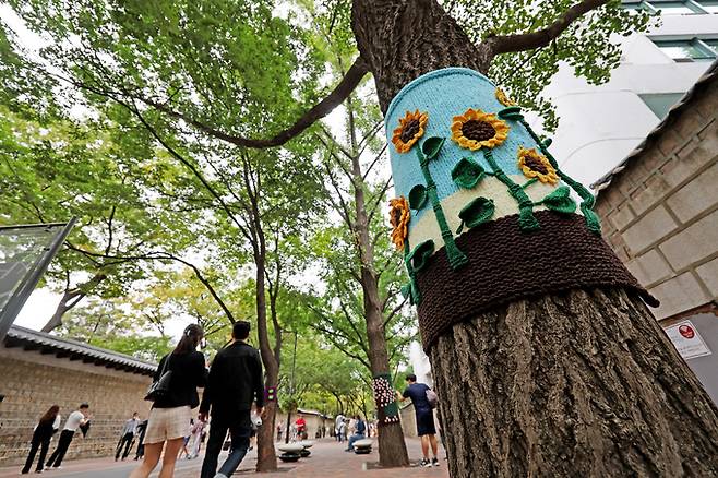 지난 2일 오후 서울 중구 덕수궁 돌담길에 심어진 나무에 손뜨개 옷이 입혀져 있다. 연합뉴스