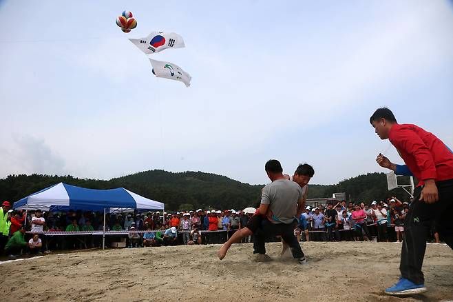지난 군민체육대회에 참가한 군민들이 씨름 경기를 하고 있다.(서천군 제공)