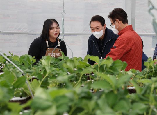 윤석열 대통령이 5일 경북 상주시 스마트팜 혁신밸리를 방문, 딸기 온실에서 작물 재배현황을 청취하고 있다. 연합뉴스