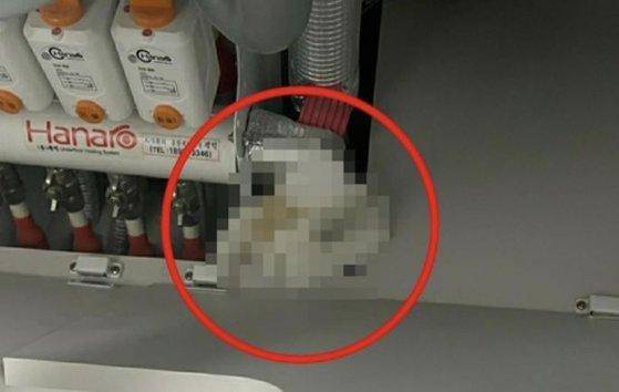 경기 성남시의 유명 신축 아파트 싱크대 밑에서 발견된 인분. 연합뉴스