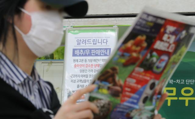 5일 서울 도봉구 하나로마트 창동점을 찾은 시민이 행사상품 전단을 살펴보고 있다. 뉴스1
