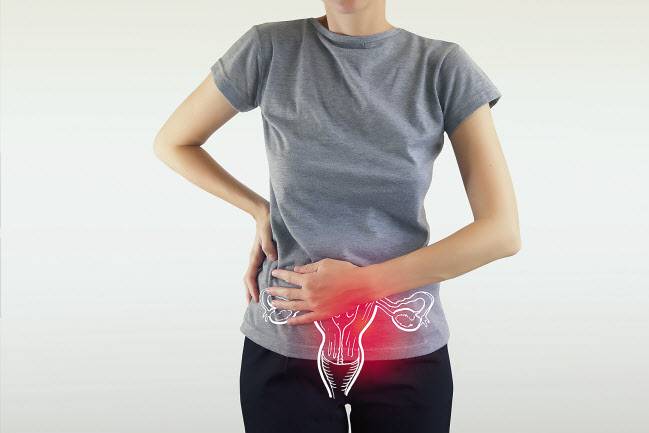 난소암 발병률은 최근 계속 증가하는 추세이고, 보통 50~70세에 호발하는 암이지만 최근 30대 발병률이 가장 빠르게 증가하고 있다.