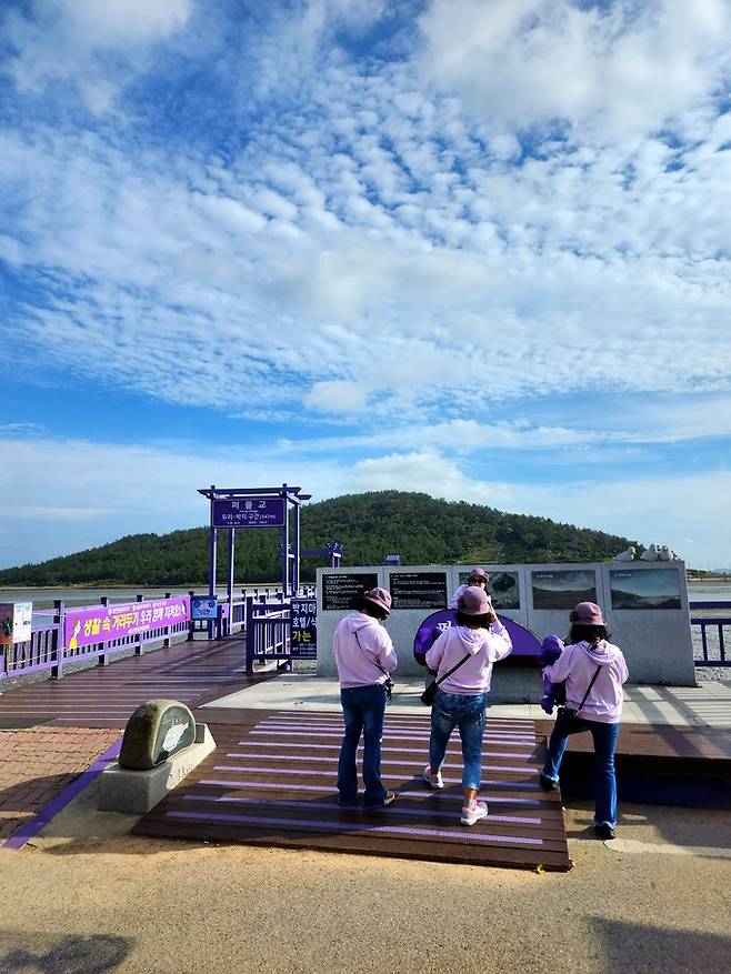 박지도 연결 퍼플교 보라옷 여행자