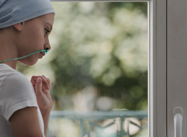 ⓒ게티이미지뱅크