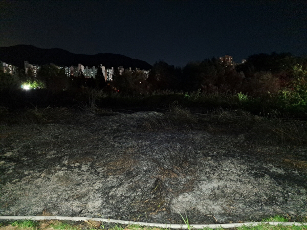 10일 오후 6시5분께 부산 북구 화명생태공원에 화재가 발생해 잡목 등을 태우고 30분 뒤 꺼졌다. 부산소방재난본부 제공