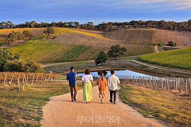 남호주 애들레이드'롱뷰 바인야드'/ 사진-호주관광청