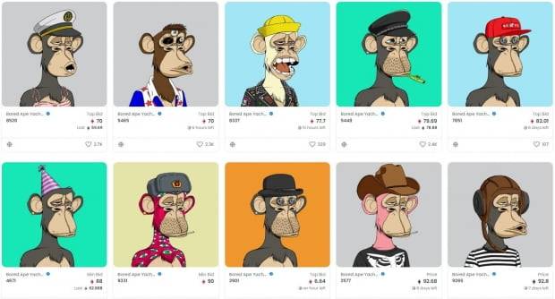 전 세계 시가총액 1위 NFT(대체불가능한토큰) 프로젝트 ‘지루한 원숭이들의 요트 클럽(BAYC)’.