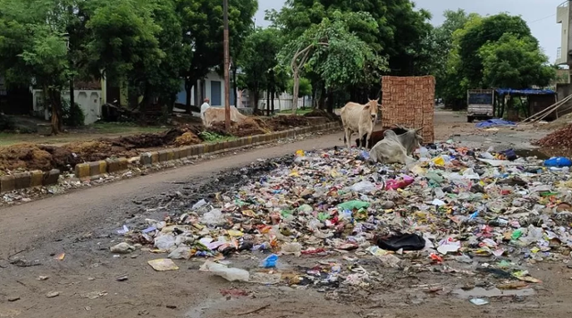 아그라시 지역의 비포장 도로에 쌓인 쓰레기. ANI 통신