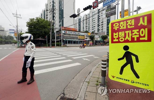 횡단보도 앞 '일시정지' [연합뉴스 자료사진]