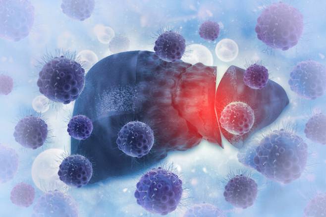 혈중 담즙산 수치가 상위 4분의 1에 해당하는 남성은 섬유질 섭취가 많으면 간암 위험이 40% 증가했다. [사진= 게티이미지뱅크]