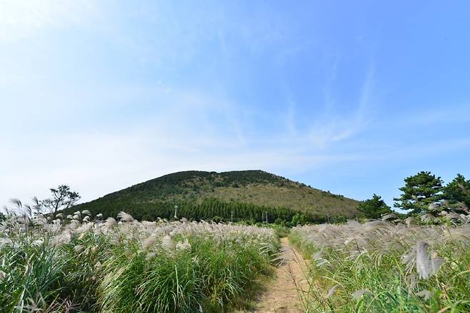 아끈다랑쉬오름(비짓제주 제공)