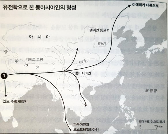 1만~5만년 전 현생 인류의 확산 경로. 데이비드 라이크의 저서 <믹스처>(동녘사이언스) 중 발췌