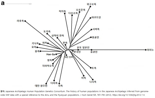 일본의 국립유전학연구소와 도쿄대학이 만든 본토 일본인, 류큐인, 아이누와 동아시아 민족들의 비슷한 정도.