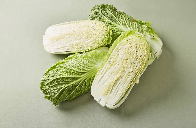 배추를 잘랐을 때 속이 꽉 차 있고 너무 진한 노란색이나 흰색보다는 약간 노란색을 띠는 것이 좋다. [사진=국립농업과학원]