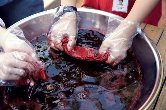 홍염 재료 중 하나인 소방목으로 손수건을 붉게 물들여 본 소중 학생기자단.