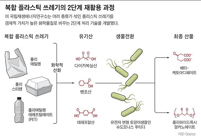 그래픽=이은현