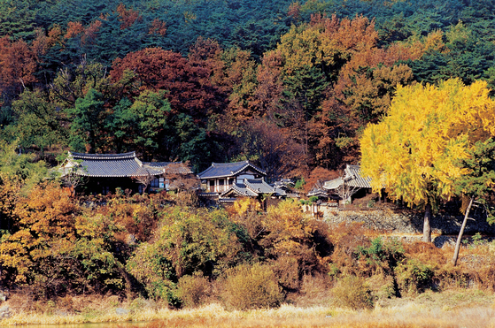 가을의 월연대 일원 전경. 밀양시청 제공