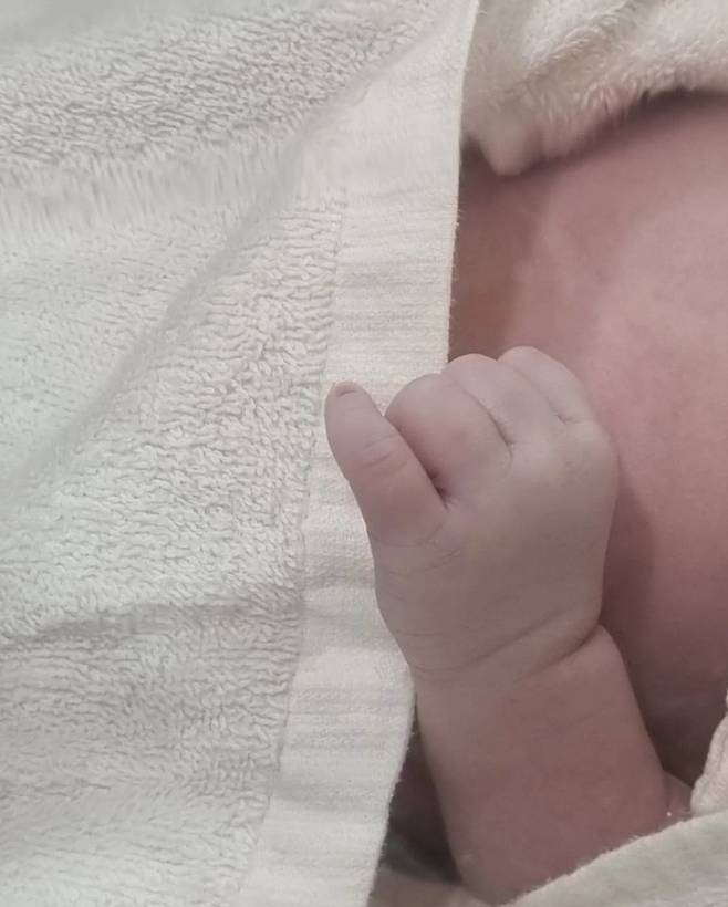 /사진=안일권 개인 채널