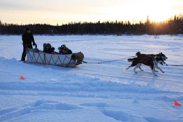 오로라빌리지의 개썰매 타기 체험. ⓒ노스웨스트준주 관광청