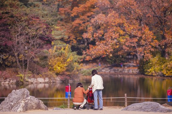 창경궁의 연못 춘당지도 가을빛을 담기 좋은 장소다. 사진 서울관광재단