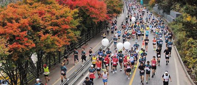 2019년 춘천마라톤 7㎞ 지점을 지나고 있는 참가자들. 매년 열리던 춘천마라톤은 코로나 확산 우려로 2020년과 2021년에는 열리지 않았다가 올해 3년 만에 다시 열린다. 기상청에 따르면 대회가 열리는 23일 춘천 날씨는 흐리고 일교차가 크며 강수 확률은 낮을 전망이다. /오종찬 기자