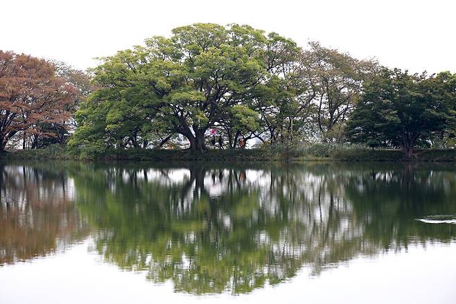 경남 창원시 진해내수면환경생태공원.