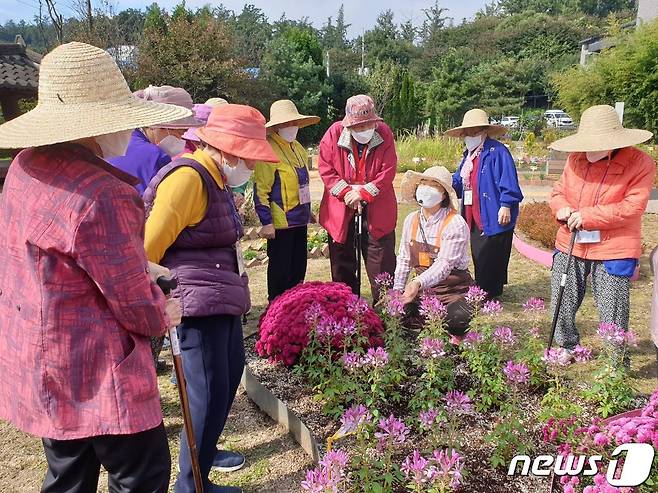 치유농업센터 농장형 치유텃밭 (서울시 제공)