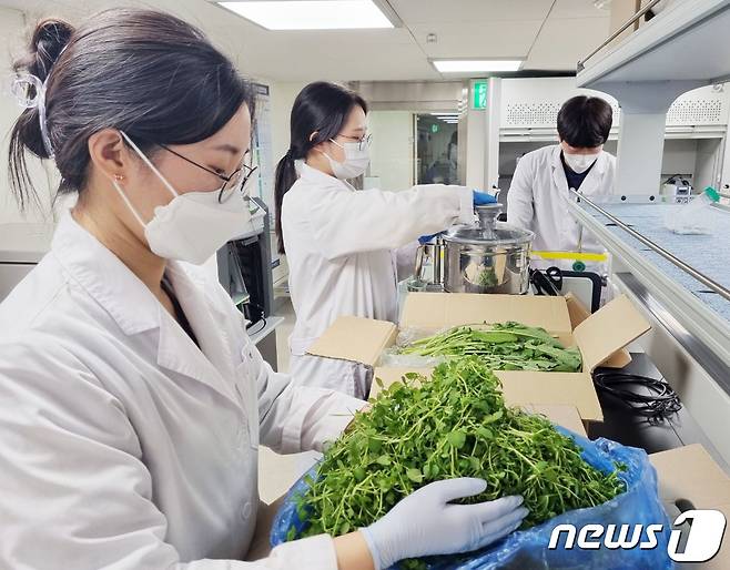 세종에서 유통된 농산물의 잔류농약 검사에서 부적합 판저을 받은 비율이 7배 증가했다.  사진은 농산물 잔류농약 검사를 하고 있는 광주시 보건환경연구원 소속 연구원들. .2022.1.7/뉴스1 ⓒ News1 박준배 기자