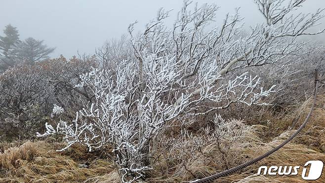 지난 10일 강원 설악산 중청대피소(해발 1590m)에서 관측된 올 가을 첫 눈(설악산국립공원사무소 제공)