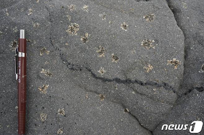 제주 세계유산본부는 마라도 현무암에서  꽃 문양의 작은 구형태(직경 1~1.5㎝) 결정군집이 발달한 특징도 확인했다고 24일 밝혔다.(제주도 세계유산본부 제공)